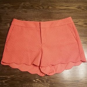 Elle Dressy Shorts